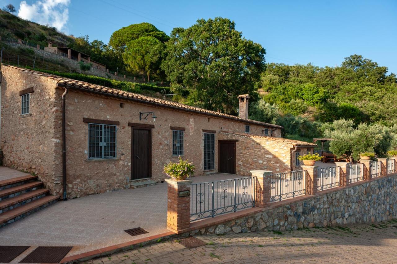 Azienda Agrituristica Le Terre Di San Leonardo 切特拉罗 外观 照片